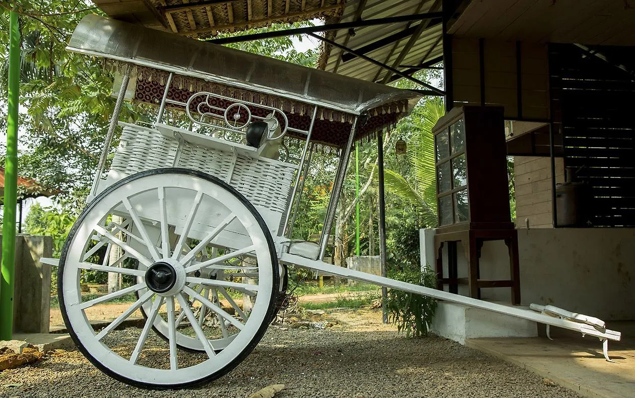 Mango Meadows Hotel Kottayam Holiday park