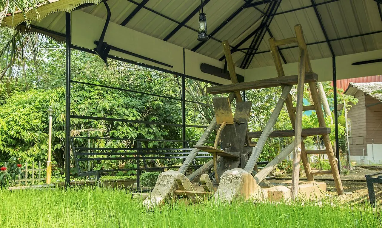 Village de vacances Hotel Mango Meadows à Kottayam Inde